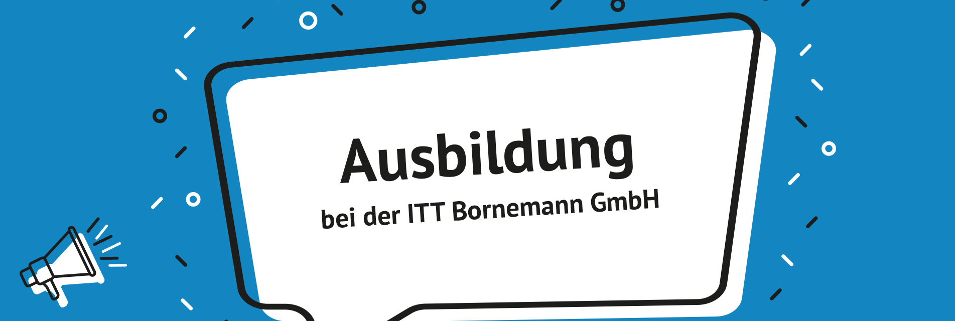 Career | ITT Bornemann
